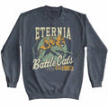 Gray sweatshirt with 'Eternia Battle Cats' graphic design on a white background