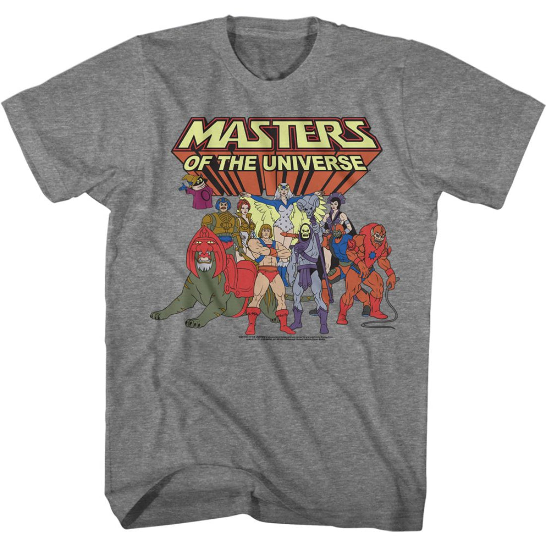 Gray t-shirt with 'Masters of the Universe' graphic on a white background