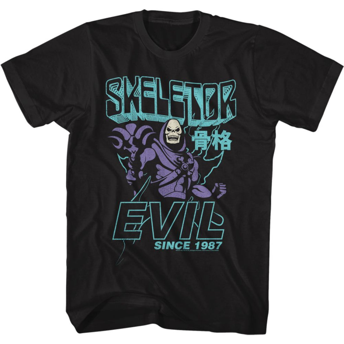 Black t-shirt with Skeletor graphic and 'Evil Since 1987' text on a white background