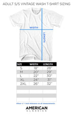 Pink Floyd Distressed Prism Vintage Wash T-Shirt